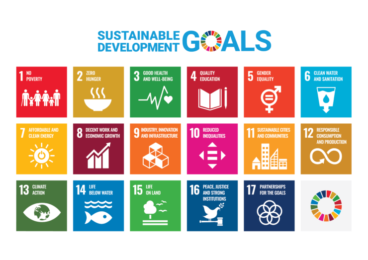 The 17 sustainable development goals poster